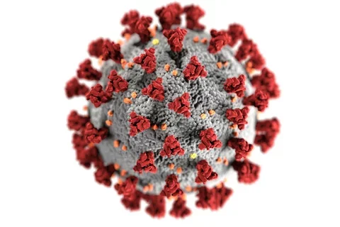 Coronavirus cell with spike proteins