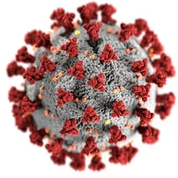 Coronavirus cell with spike proteins