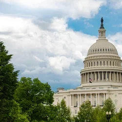 The Capitol Building in Washington DC