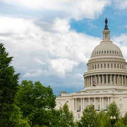 The Capitol Building in Washington DC